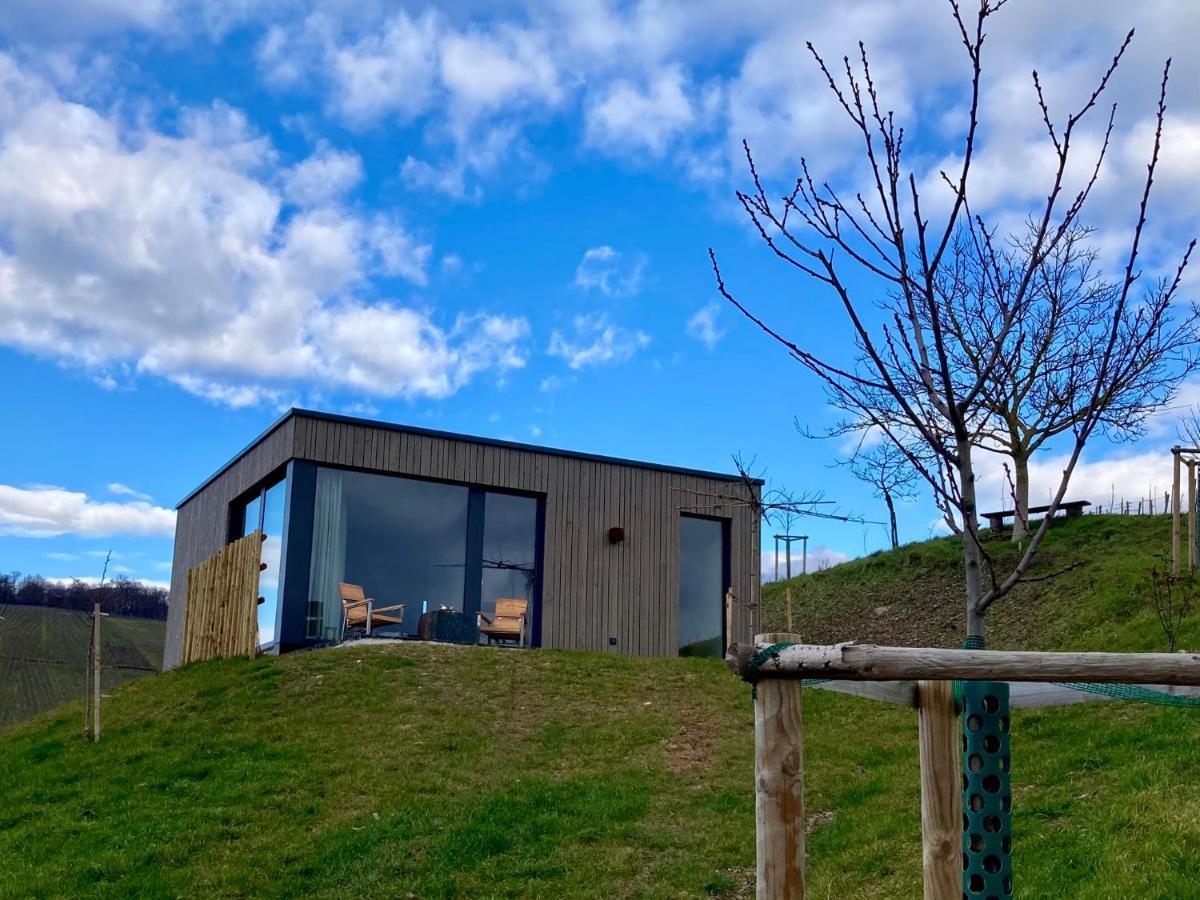Moselhoch Apartment Klusserath ภายนอก รูปภาพ